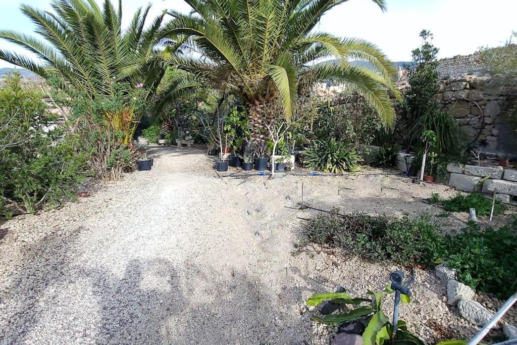 Casita I Tu Refugio Rustico Apartament